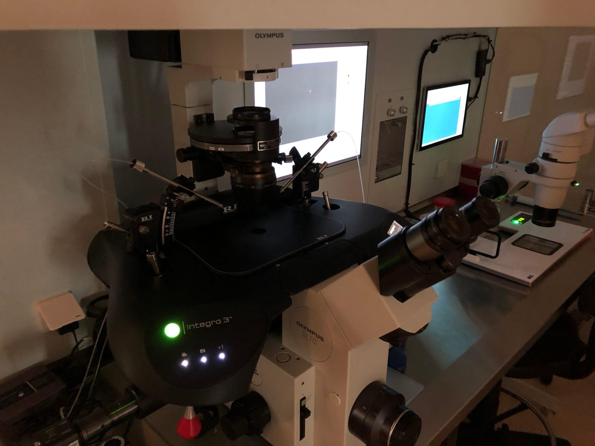 ICSI (Inyección Intracitoplasmática del Esperma)